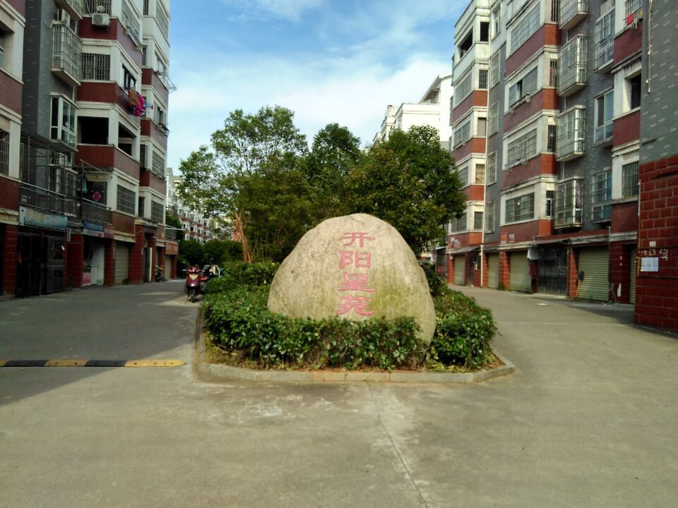 吉安县开阳星苑小区26路大华网络数字高清监控系统